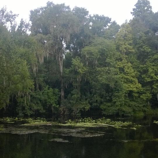 Crystal Springs Preserve Town of Crystal Springs Crystal Springs Rd