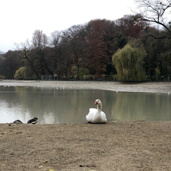 Foto scattata a Seehaus im Englischen Garten da 88🀄️ il 11/20/2019