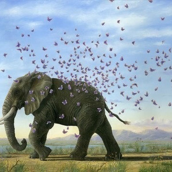 Mezquita Tariq Bin Ziyad - El Raval - Barcelona, Catalunya