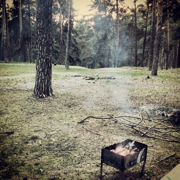 Волкушинский карьер кемпинг. Базы отдыха в лыткарино. Шашлык лыткарино. Подышать шашлыком и коньяком. Карьер волкуша лыткарино.