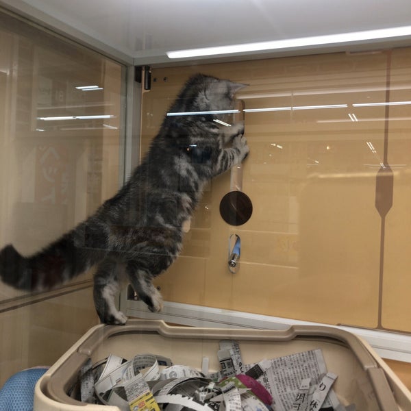 コーナン 灘大石川店 灘区 641 Ziyaretcidan 1 Tavsiye Da Fotograflar