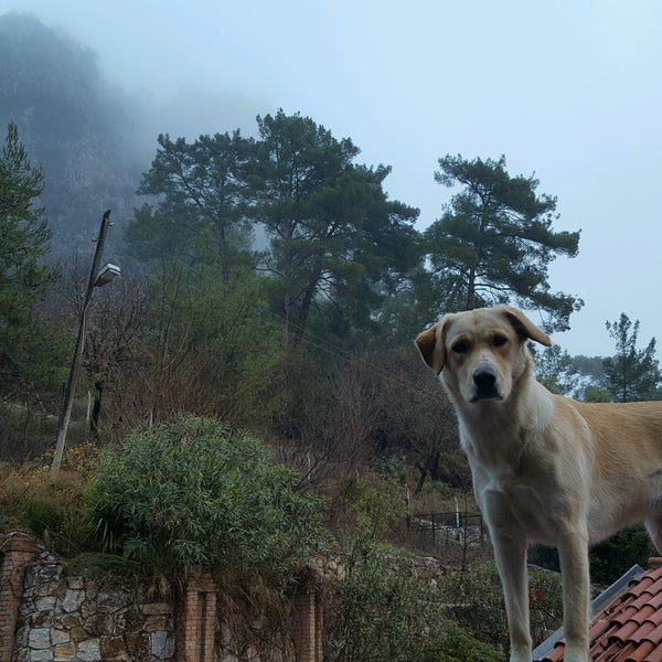 Das Foto wurde bei Taşhanpark Marmaris von Barbaros K. am 12/24/2016 aufgenommen