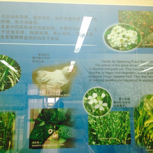 北京中医药大学beijing University Of Chinese Medicine Chaoyang Qu 7 Tips