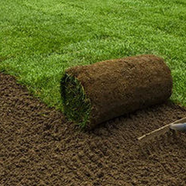 Photos At Valley Flores Yard Maintenance Construction Landscaping