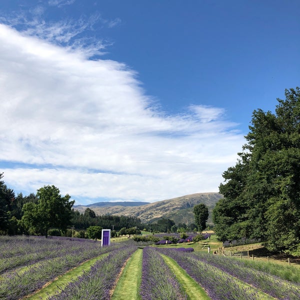Photo taken at Wanaka Lavender Farm by Dectinc C. on 1/4/2019