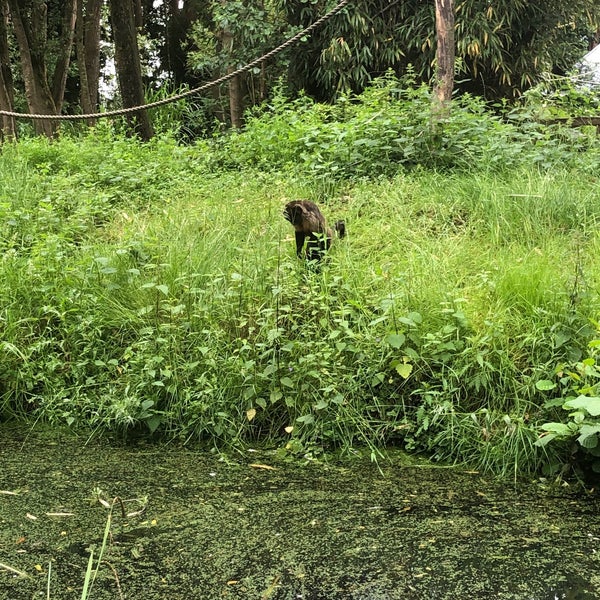 Photo taken at Zoo Parc Overloon by Anja B. on 6/14/2020