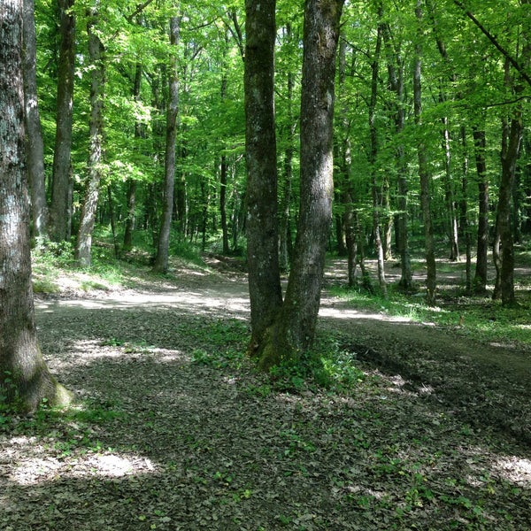 5/1/2013 tarihinde Züleyha G.ziyaretçi tarafından Belgrad Ormanı'de çekilen fotoğraf