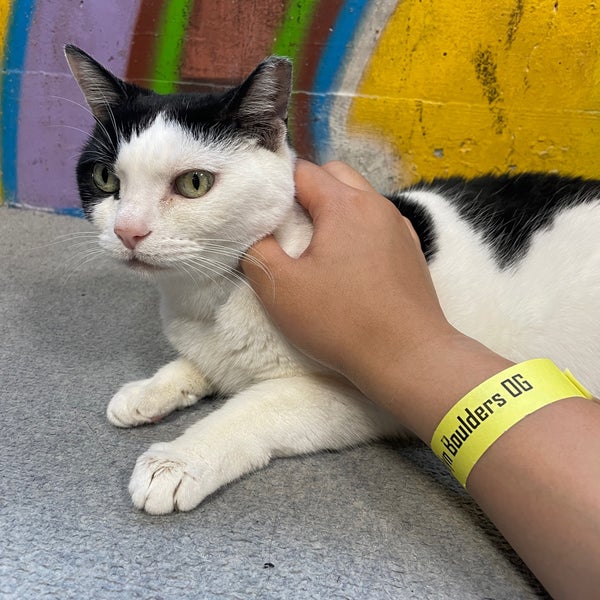 รูปภาพถ่ายที่ Brooklyn Boulders โดย Barb L. เมื่อ 6/30/2021