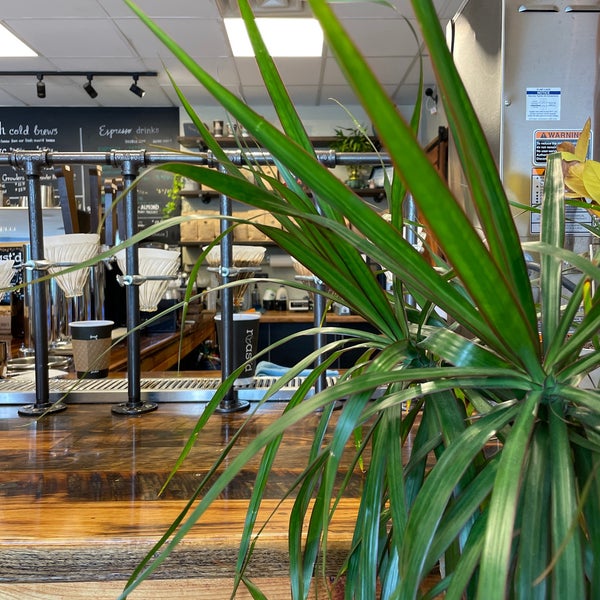 Top 41+ imagen roast'd coffee fort lee Thptnganamst.edu.vn