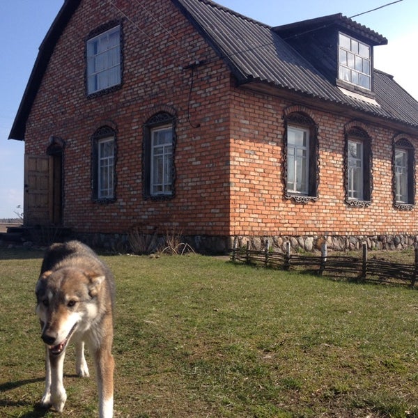 Деревня двинь покровское. Деревня духново псковская область. Деревня двинь покровское. Двинь покровское куньинский. Погода в двинь покровское.