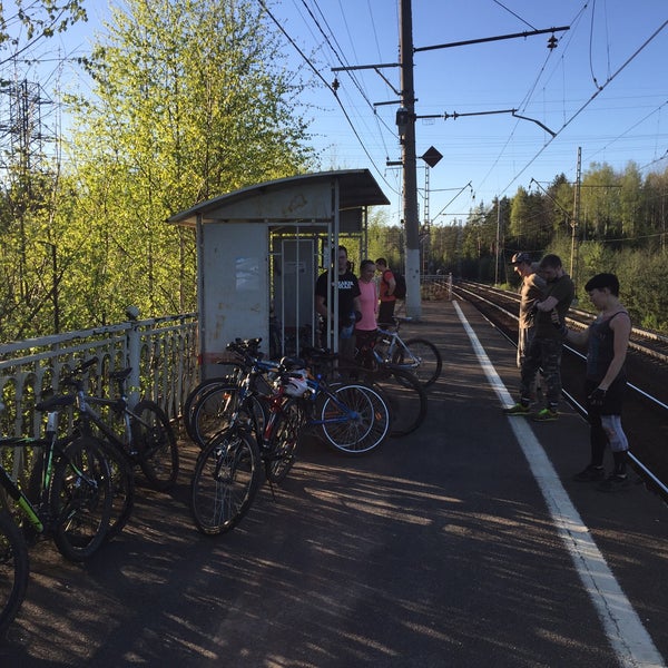 Байкальская платформа. Безруков агпу. Байкальская платформа социальной работы 2022. Россия страна возможностей. В агу.