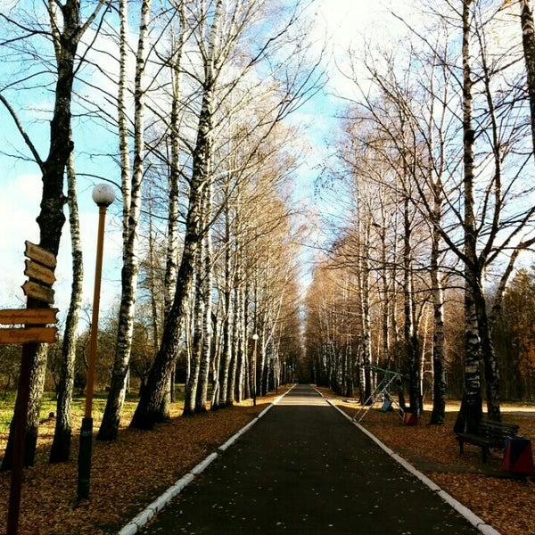 Липовая аллея пушкин. Парк липовая аллея электроугли. 15. Липовая аллея д. 9,.