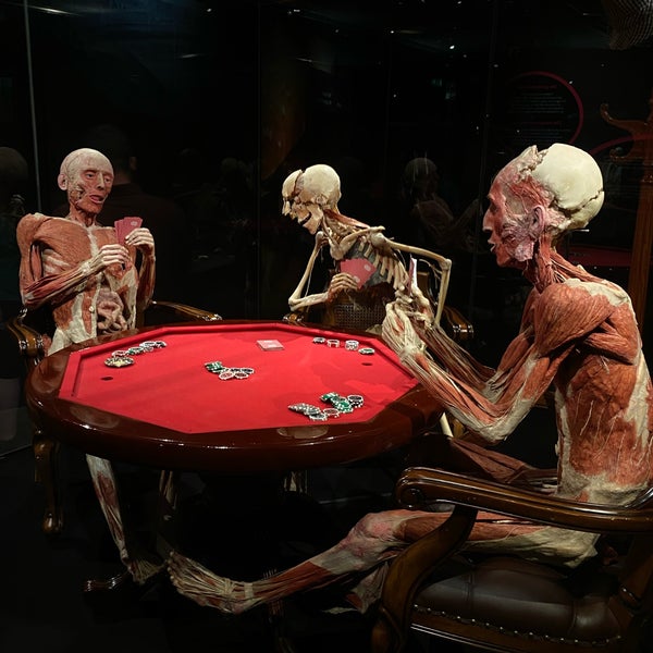 Photo taken at Body Worlds by D on 8/4/2022
