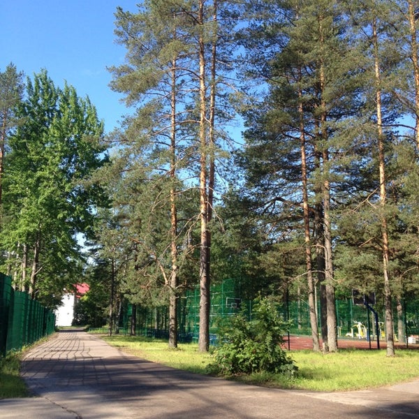 Лагерь дружных барнаул карта