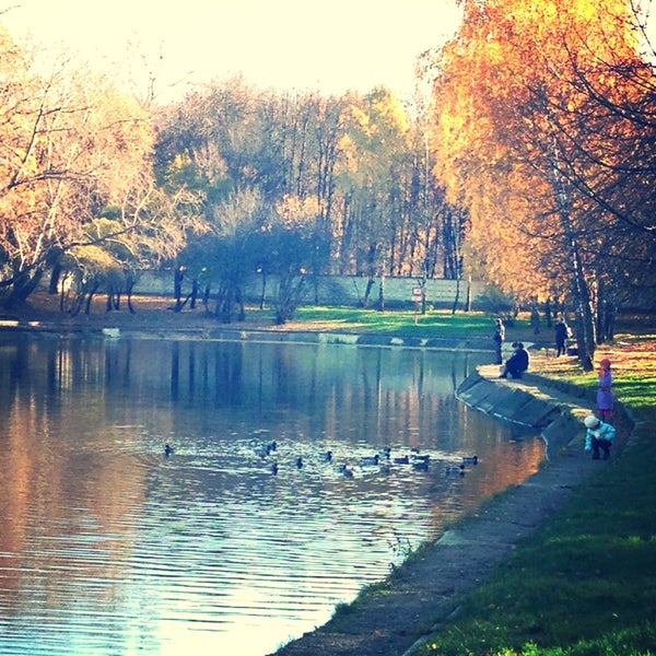 Город фокино озеро зелёнка. Пруд зеленка нахимовский проспект владение 8. Пруд на нахимовском проспекте. Средний пруд зюзино. Пруд зелёнка москва.