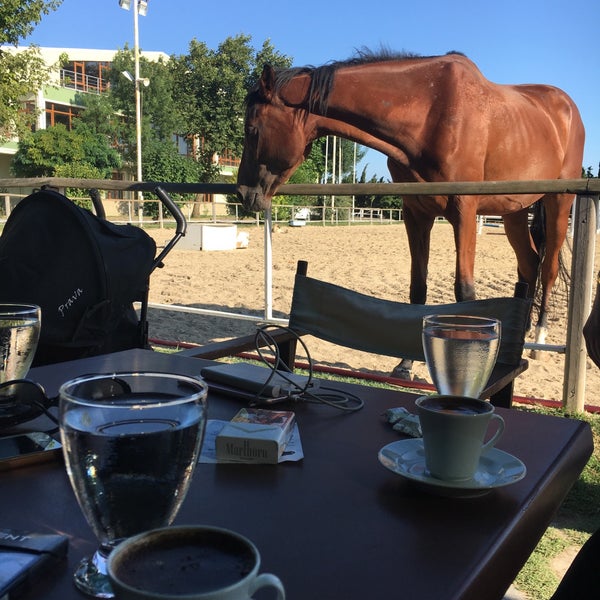 7/29/2018にAden ÖzkanがErkanli Country Resort&amp;Ridingで撮った写真