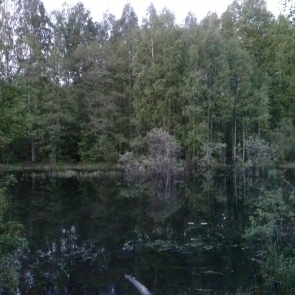 Озеро ройка