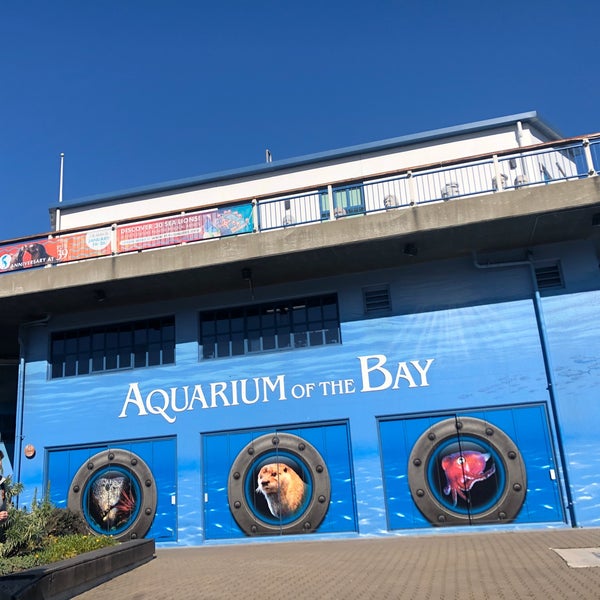 Photo taken at Aquarium of the Bay by Spatial Media on 1/6/2020