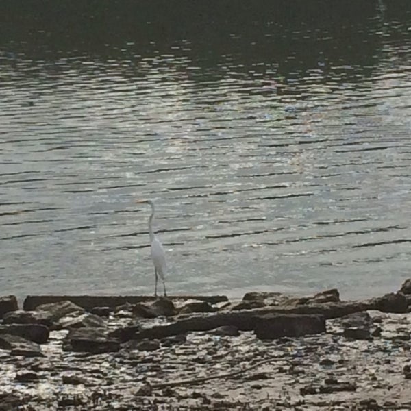 Deepwater Bend Boat Ramp Boat Launch in Bald Hills