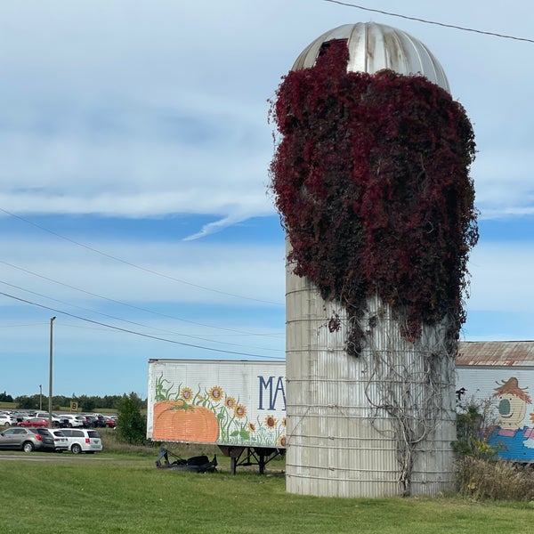 Markham Fairgrounds 3 tips