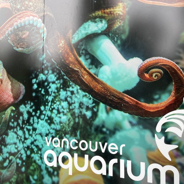 Снимок сделан в Vancouver Aquarium пользователем Spatial Media 7/16/2022