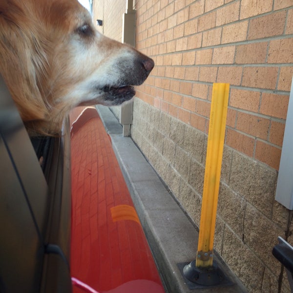 Walgreens Pharmacy in