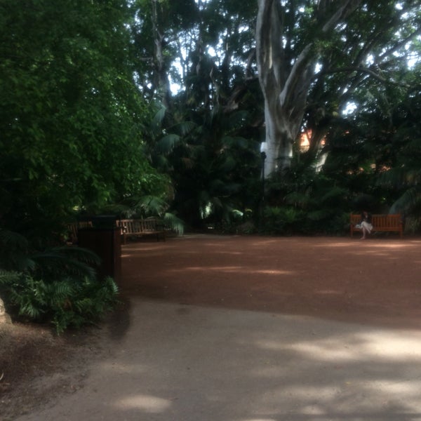 Great peaceful spot to sit and read; a nice change from the library where it's quiet and easy to concentrate.