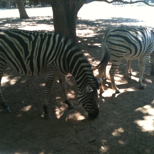 4/22/2012にRobert M.がSharkarosa Wildlife Ranchで撮った写真