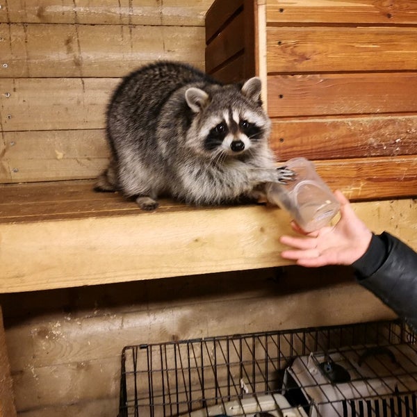 รูปภาพถ่ายที่ КСК Western Horse โดย Дмитрий Т. เมื่อ 1/17/2020