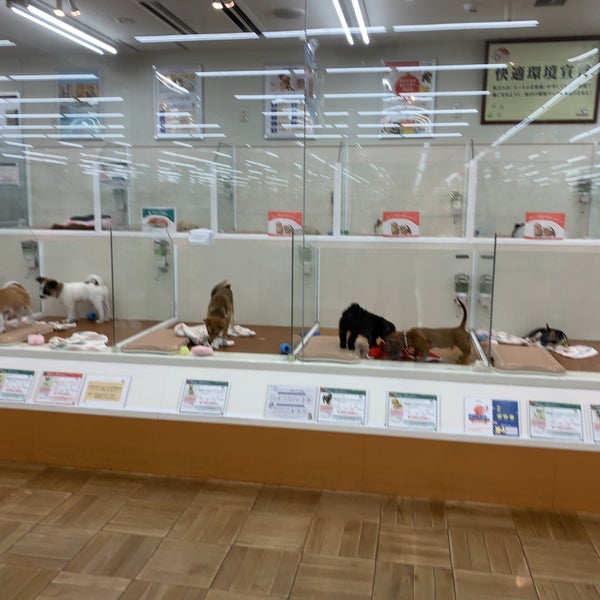 ビバペッツ岩槻店 Pet Store In さいたま市 ビバペッツ岩槻店 Pet Store In さいたま市
