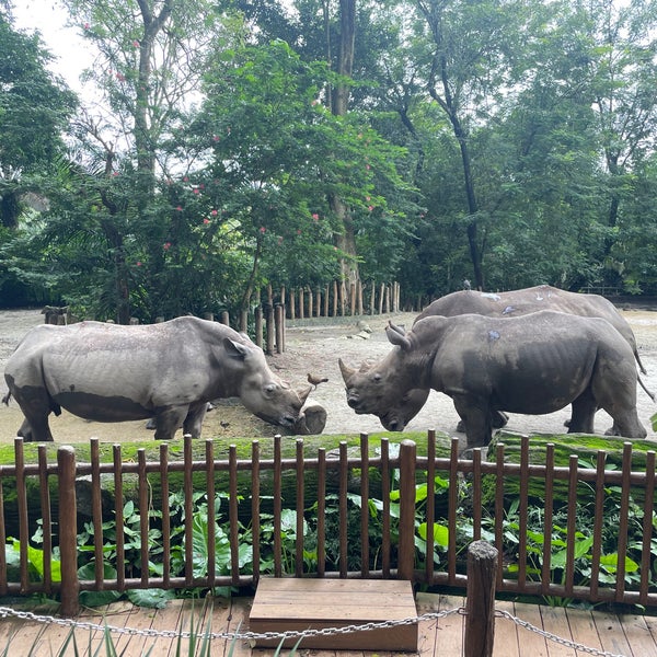 Foto tomada en Singapore Zoo  por Qian Y. el 12/31/2023