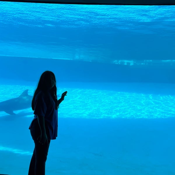 Photo prise au Texas State Aquarium par Annabel A. le11/5/2023
