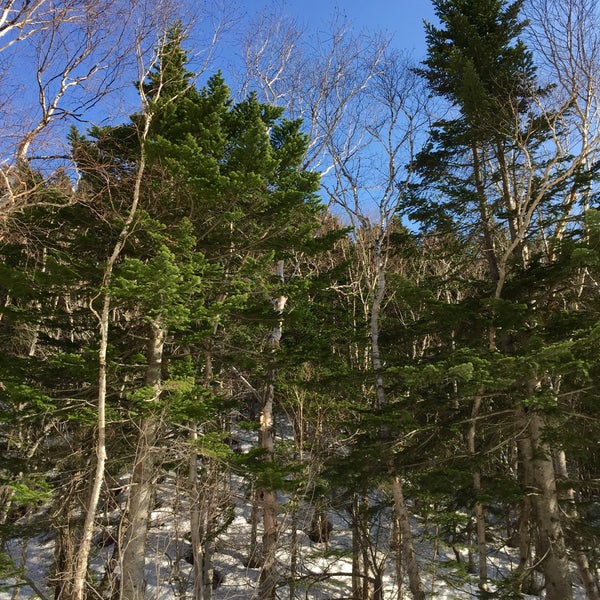 База отдыха высокая анисимовка. Анисимовка лесное подворье база. Теплая долина долинск. Орешево деревня в македонии. Село галичник македония.