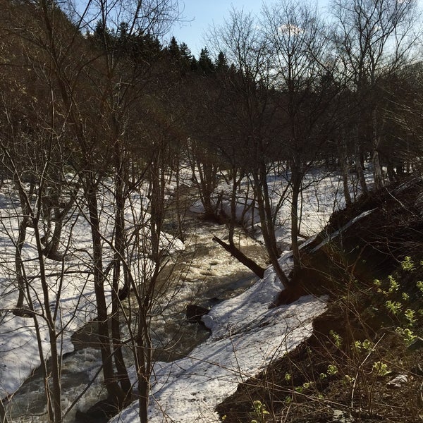 Пейзажи горного алтая лето. Теплая долина долинск. Природа алтая весна. Теплая база. Дача долинского.