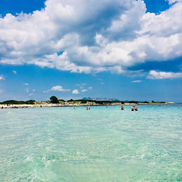 Photos At Spiaggia Lisuledda Beach In San Teodoro