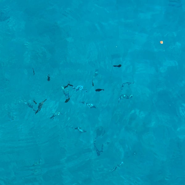 Kanyon Picture Of Ege Barakuda Kas Diving Center Tripadvisor