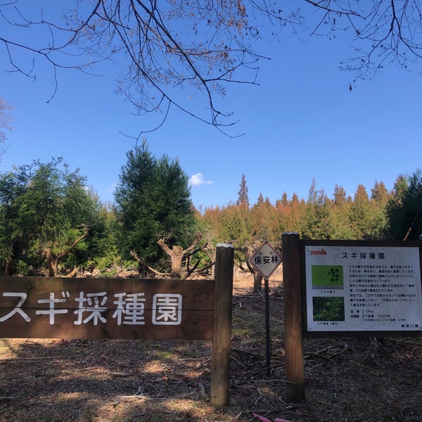 神奈川県立21世紀の森 Park In 南足柄市