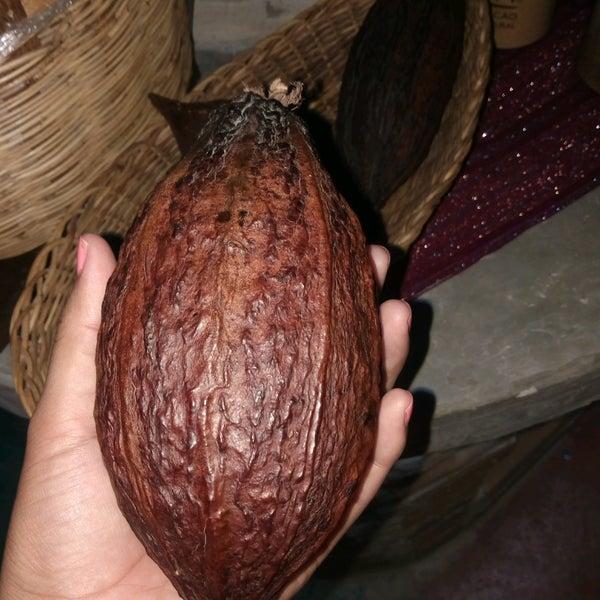 Das Foto wurde bei Kakaw, Museo del cacao &amp; chocolatería cultural von Isaa T. am 9/7/2016 aufgenommen