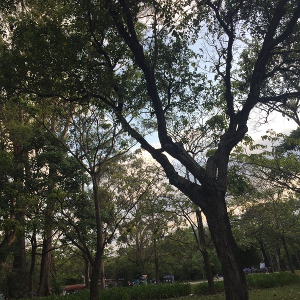 11/20/2016에 Carol C.님이 Parque Ibirapuera에서 찍은 사진