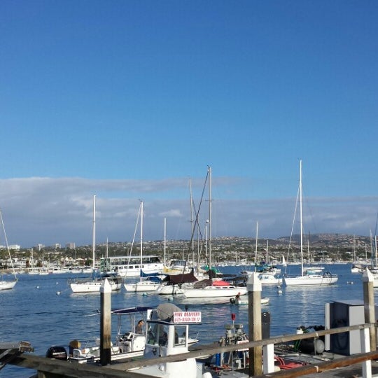 Photo taken at Newport Landing Whale Watching by Ilene W. on 11/16/2013