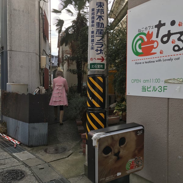 猫カフェなる 55 Visitors