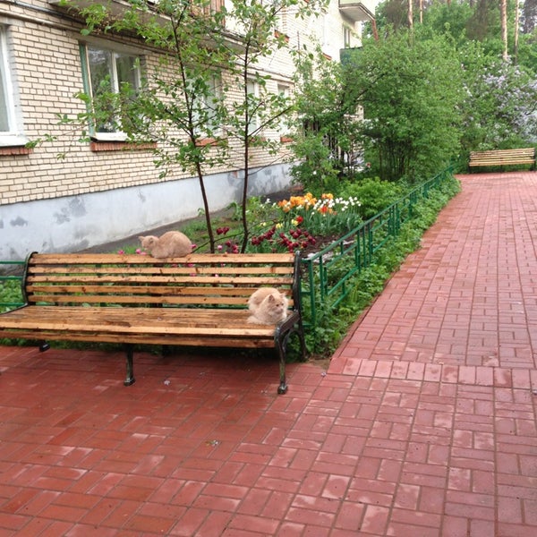 Поселок дачного хозяйства жуковка. Поселок дачного хозяйства жуковка