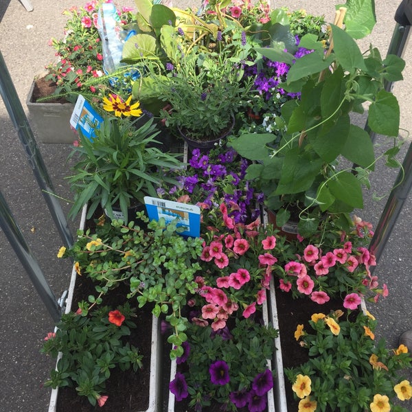 Schley's Blumenparadies - 1 tip