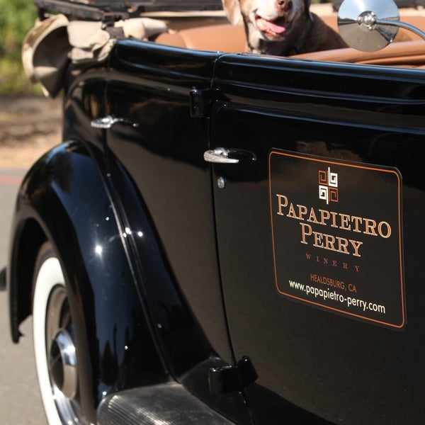 รูปภาพถ่ายที่ Papapietro Perry Winery โดย Papapietro Perry Winery เมื่อ 9/19/2013