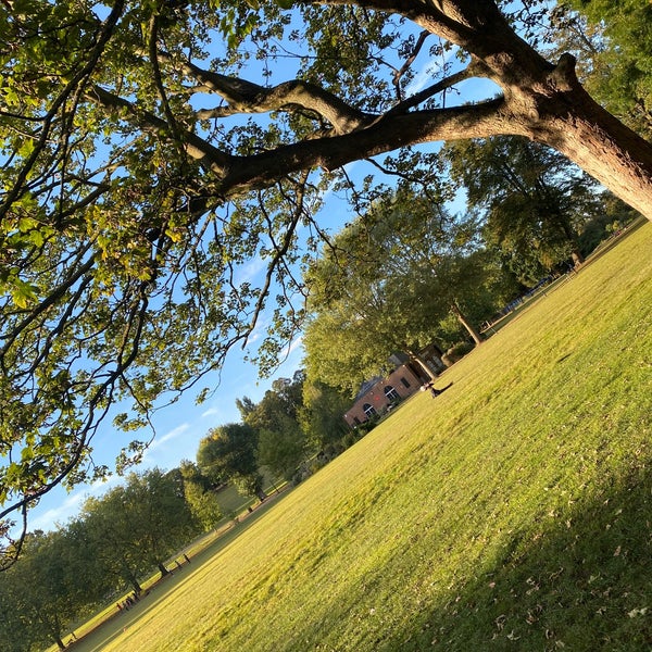 Spinney Hill Park Highfields 1 tip