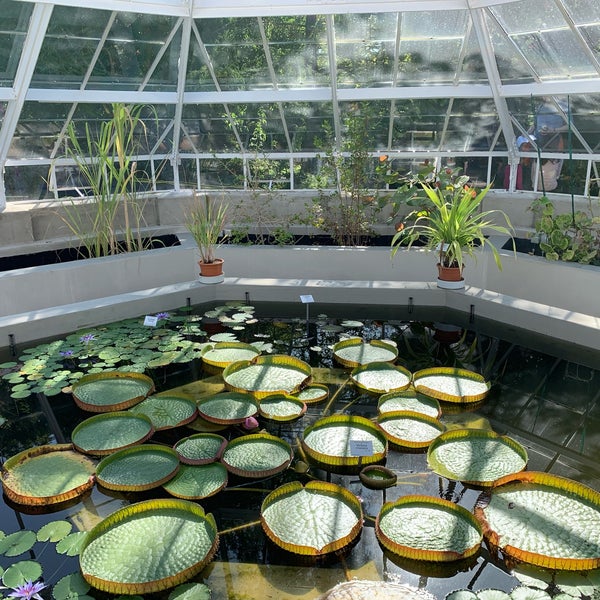 Botanischer Garten der Universität Leipzig Zentrum