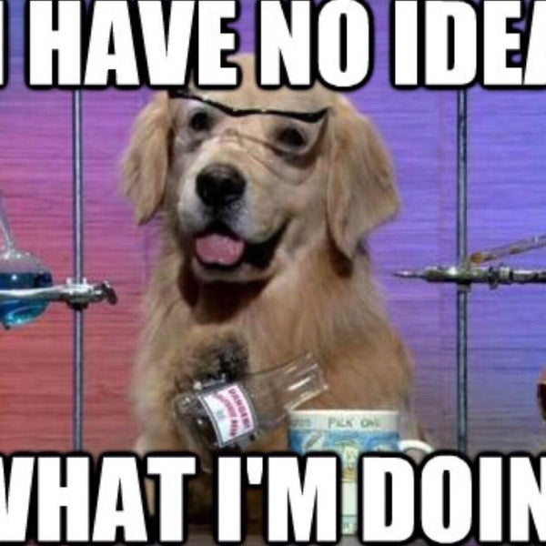 I have had no idea. I have no idea what i&#039;m doing. i have no idea what im doing. you have no idea. i have no idea.
