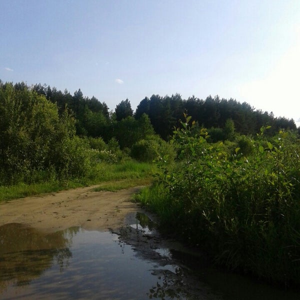 Чумошоп дубровка