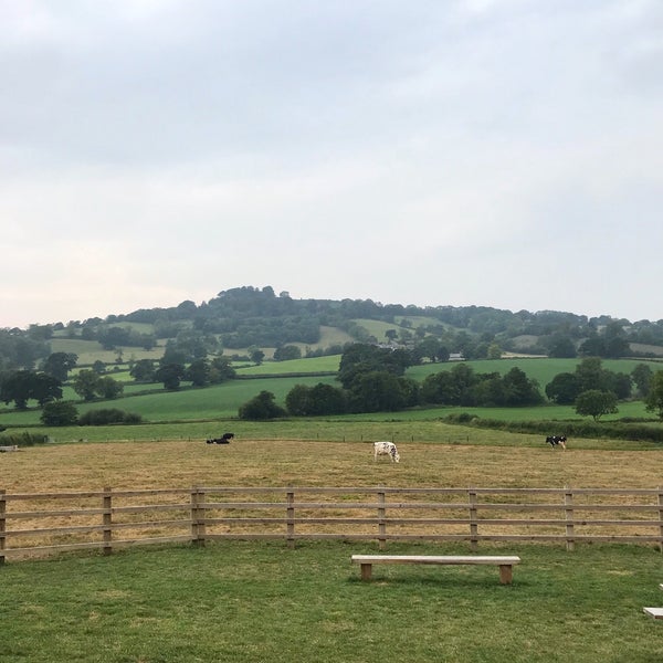 Otter Valley Dairy & Field Kitchen Honiton, Devon