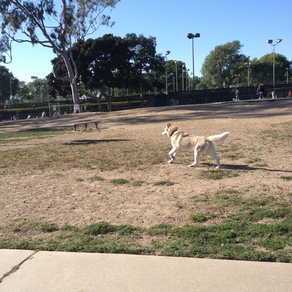 Dog Park Costa Mesa